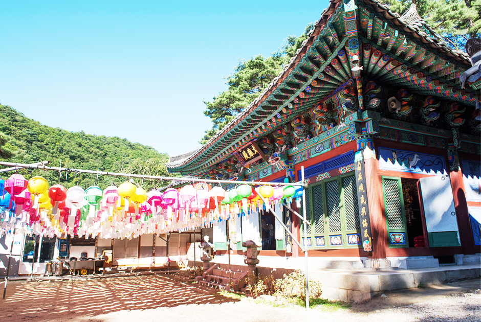 박달재 절 사진