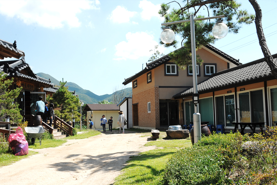 제천산야초마을4