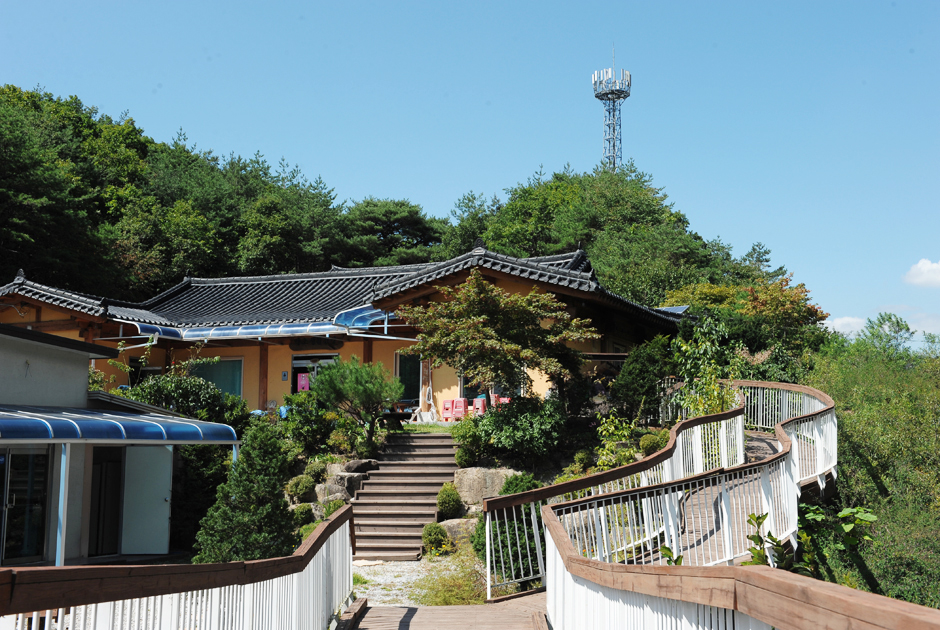 제천산야초마을5