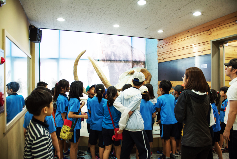 별새꽃돌과학관 구경하는 아이들