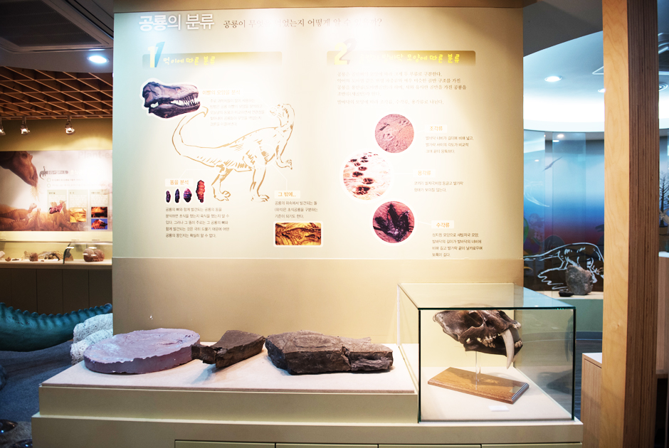 별새꽃돌과학관 전시품 사진