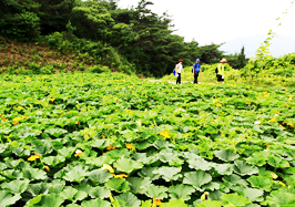 제4코스 녹색마을길