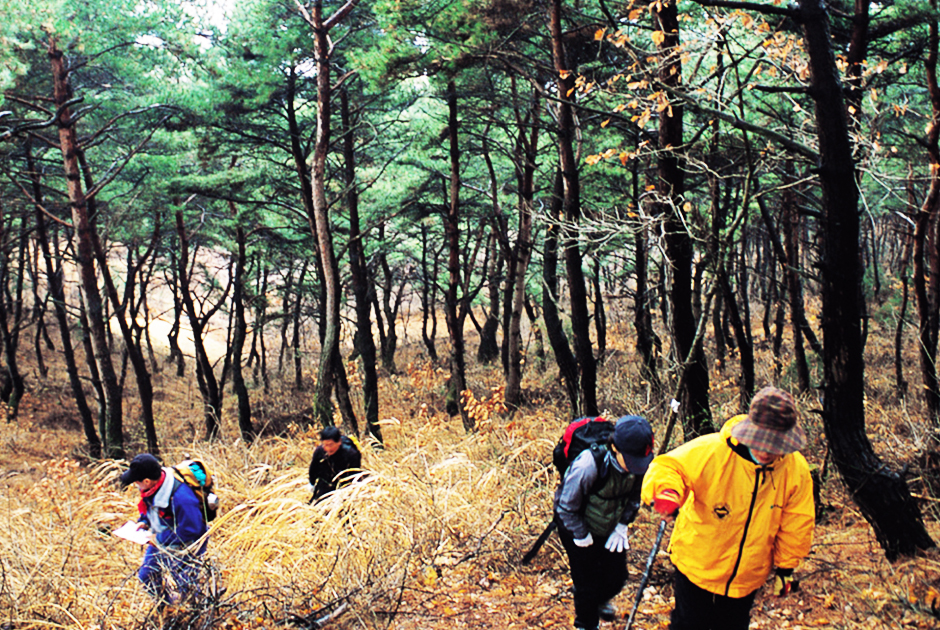 송학산 등산하는 사람들