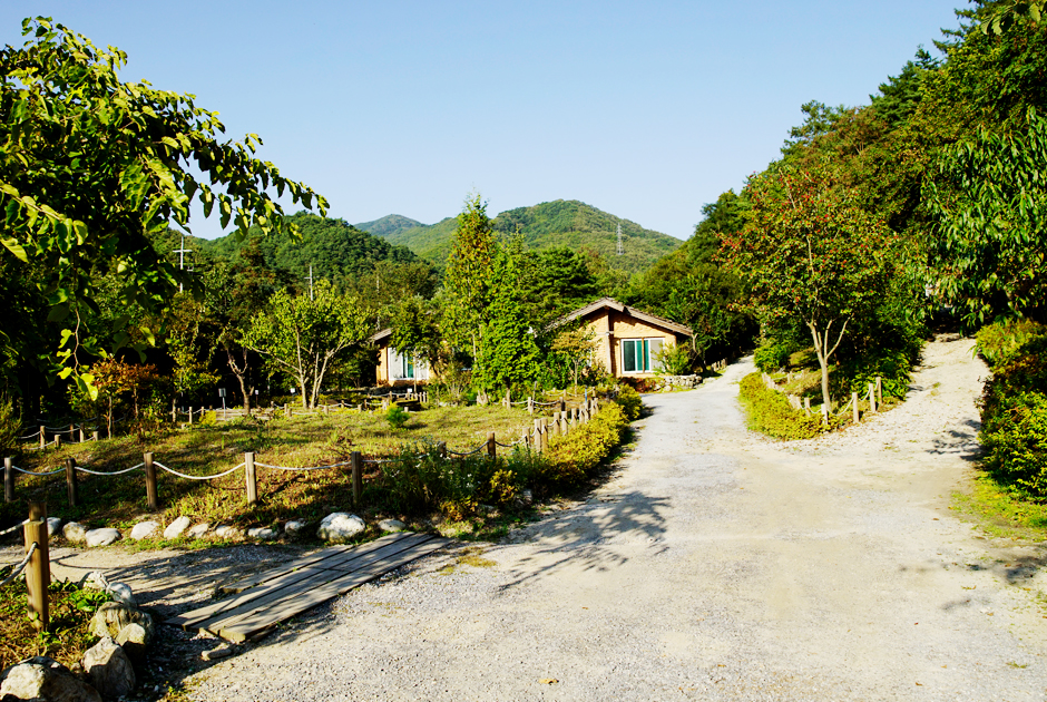 산채건강마을 풍경