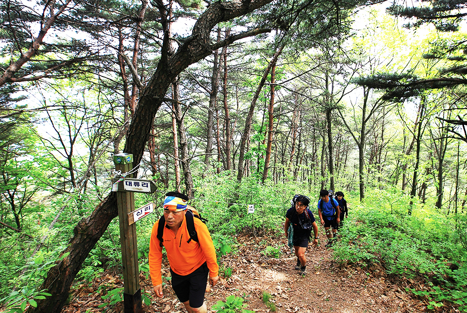비봉산 등산하는 사람들