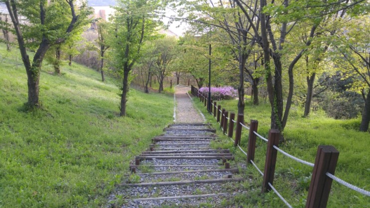 20170422_172659.jpg