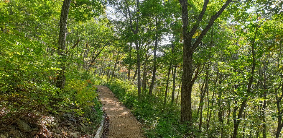 숲내음치유숲길