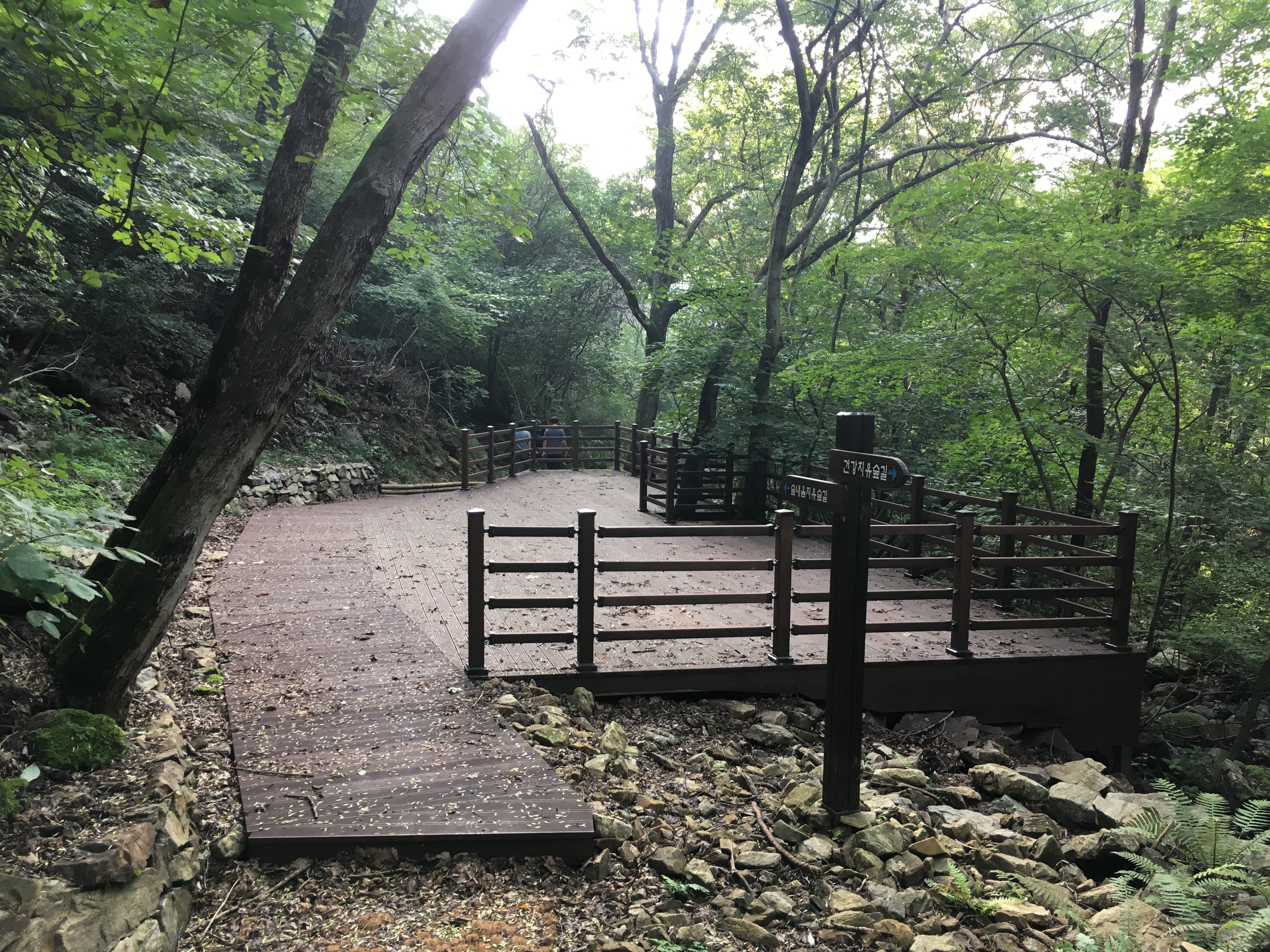 음이온치유숲길