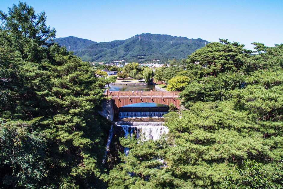 숲이가득한 의림지 전경사진 