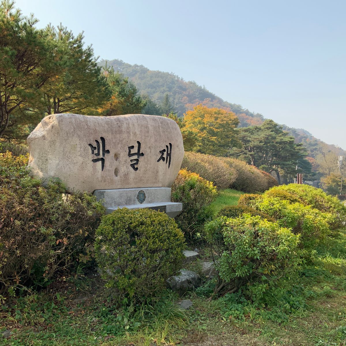 
								박달재