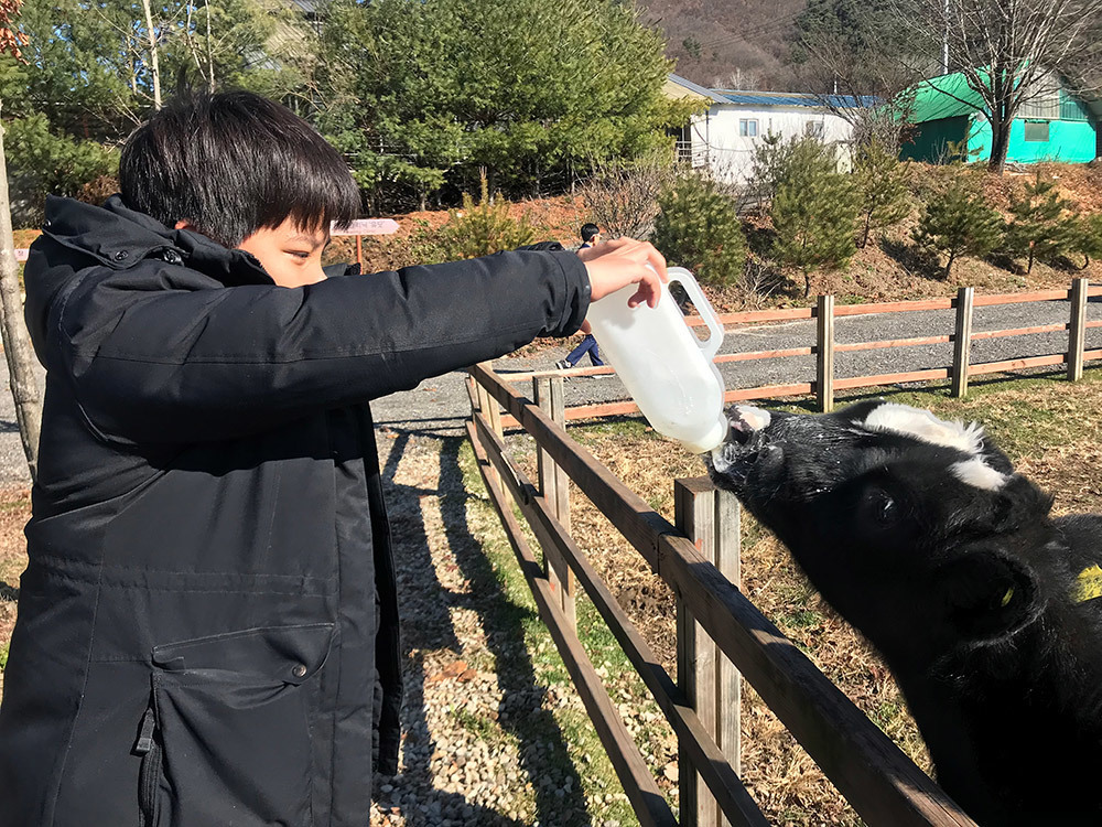 배론이시돌체험목장 염소에게 우유를 주는 아이