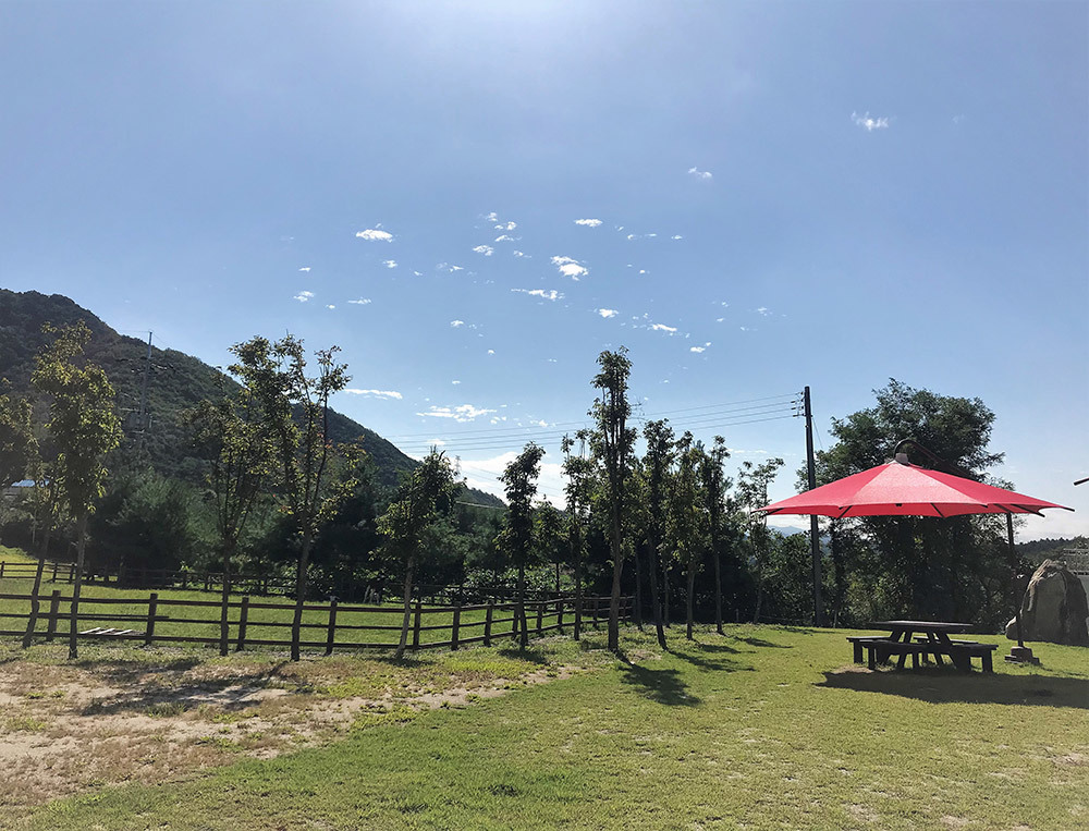 배론이시돌체험목장 전경