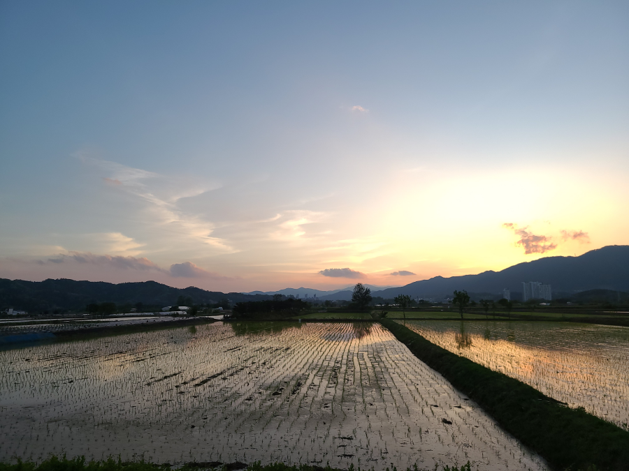 삼한의초록길 해질녁 전경 사진