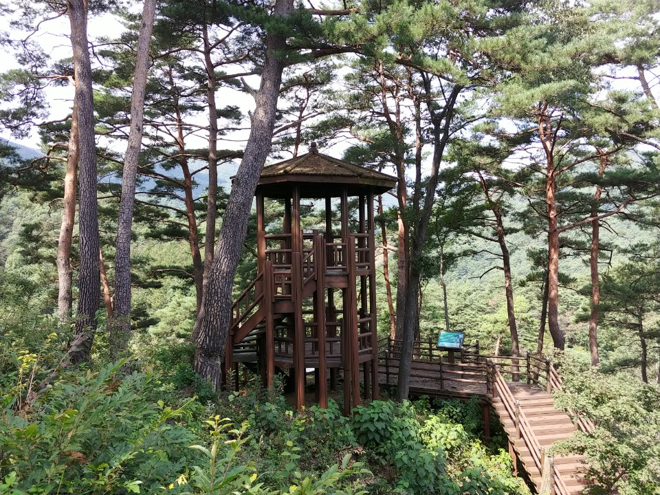 덕통생태숲 정자 사진