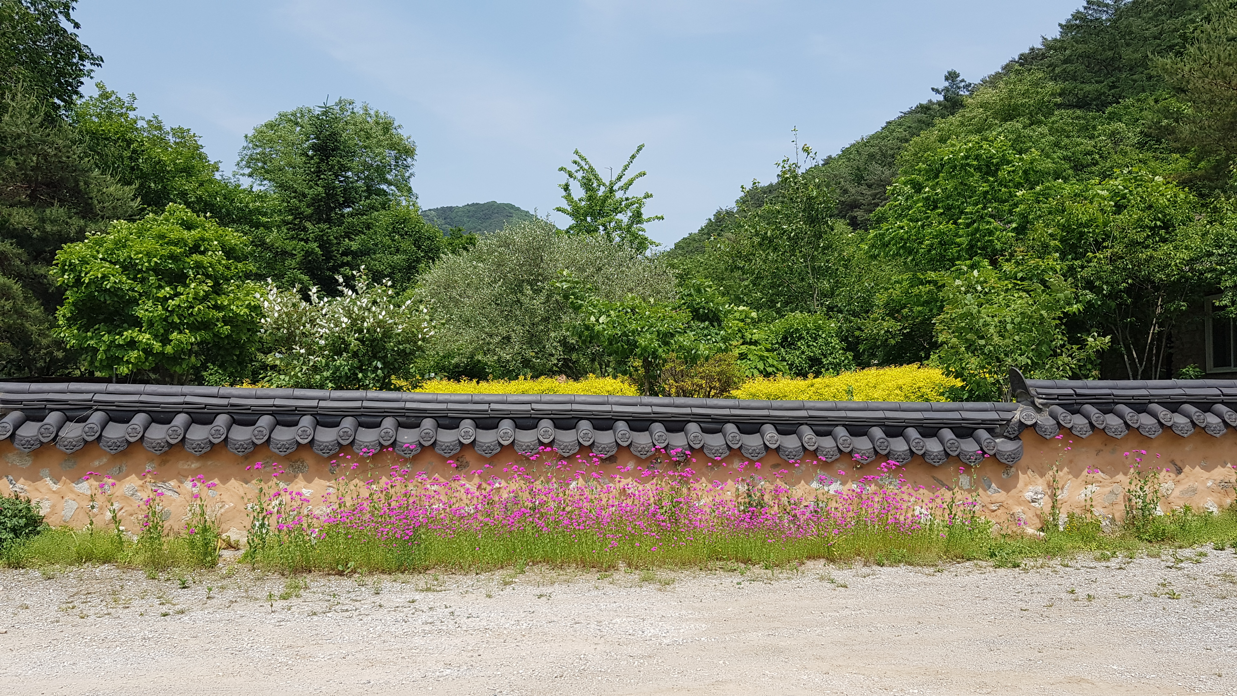 산채건강마을 담벼락 사진