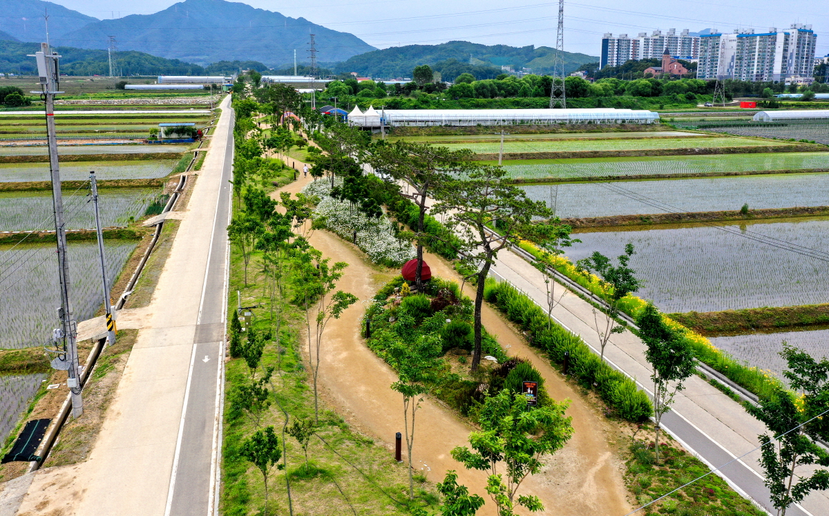 상세삼한의 초록길1.jpg