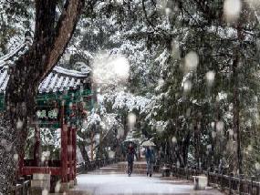 2021 제천 관광사진 공모전