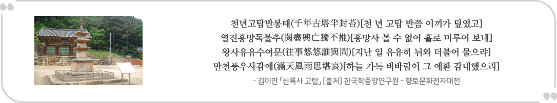 천년고탑반봉태(千年古塔半封)[천 년 고탑 반쯤 이끼가 덮였고] 열진흥망독불추(閔盡興亡獨不推)[흥망사 볼 수 없어 홀로 미루어 보네] 왕사유유수여문(往事悠悠誰與問)[지난 일 유유히 뉘와 더불어 물으려 만천풍우사감애(滿天風雨思堪哀)[하늘 가득 비바람이 그 애환 감내했으리] - 김이만 신륵사 고탑」 [출처] 한국학중앙연구원 - 향토문화전자대전