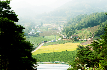 지곡리 고수골 마을 전경